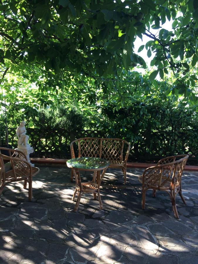 B&B "Croce Nivera" Vibo Valentia Eksteriør billede